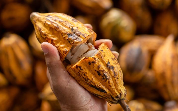 Respeto por el origen - Nessentis