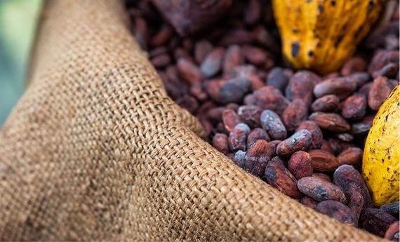 Compras y trazabilidad