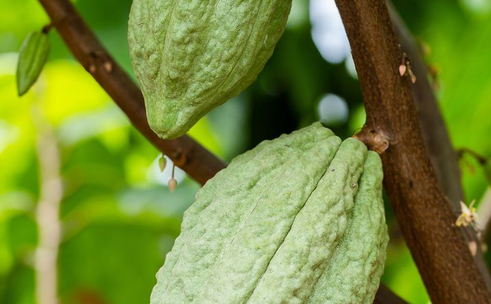 Responsabilidad compartida - Nessentis